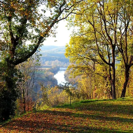 Oda ve Kahvaltı Le Manoir Du Rocher Domme
