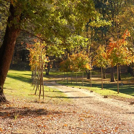 Le Manoir Du Rocher Отель типа 