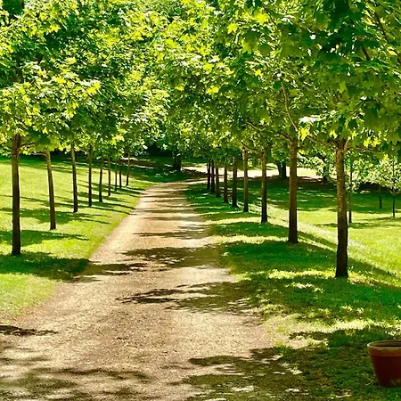 Alojamento de Acomodação e Pequeno-almoço Le Manoir Du Rocher 3*